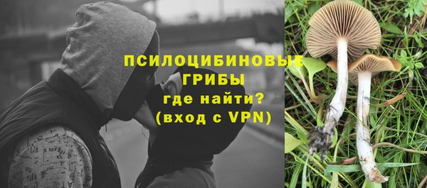 прущий лед Краснослободск