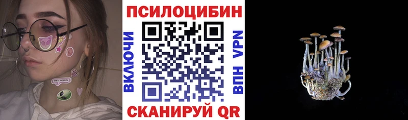 цена   MEGA ТОР  Галлюциногенные грибы мицелий  Курганинск 