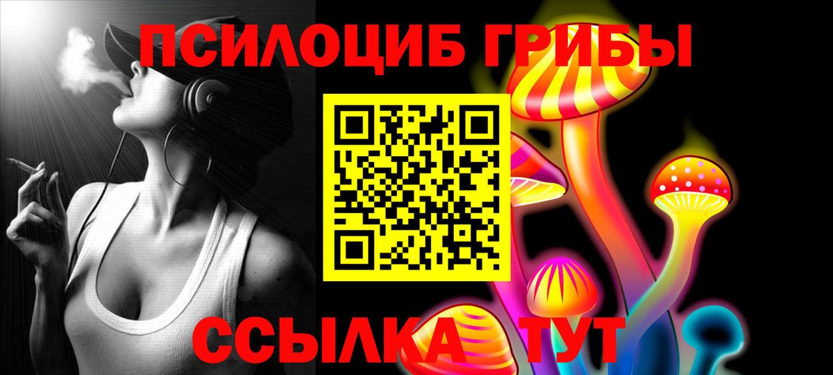 Галлюциногенные грибы ЛСД  Галлюциногенные грибы Psilocybine cubensis  Вход с VPN  Курганинск 