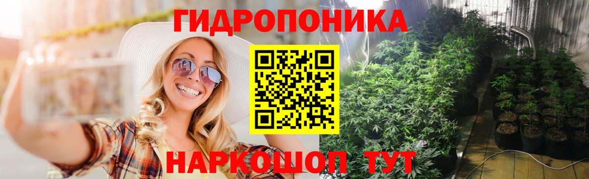 Бошки Шишки Amnesia  Вход с VPN  Марихуана Bruce Banner  Курганинск 